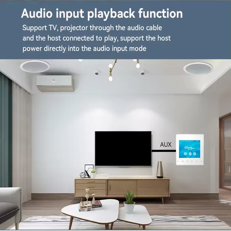 Domowy wzmacniacz ścienny Blue – Audio Music For Background recenzja i cena